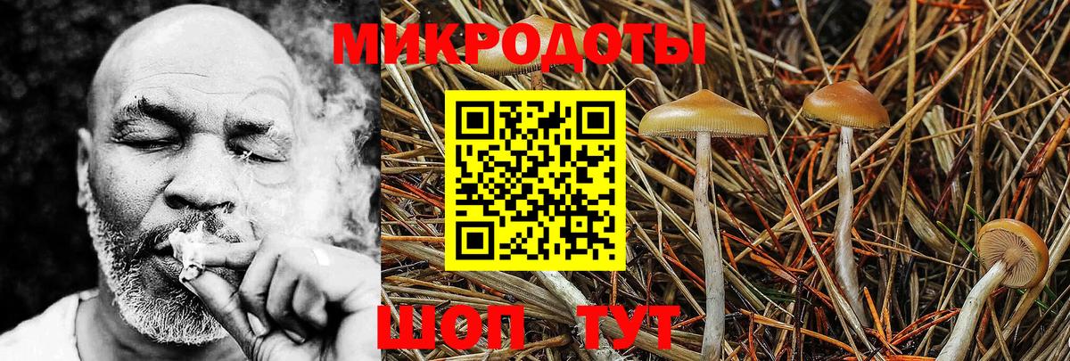 Павловский Посад  Галлюциногенные грибы Cubensis  Вход с VPN  Псилоцибиновые грибы мицелий 