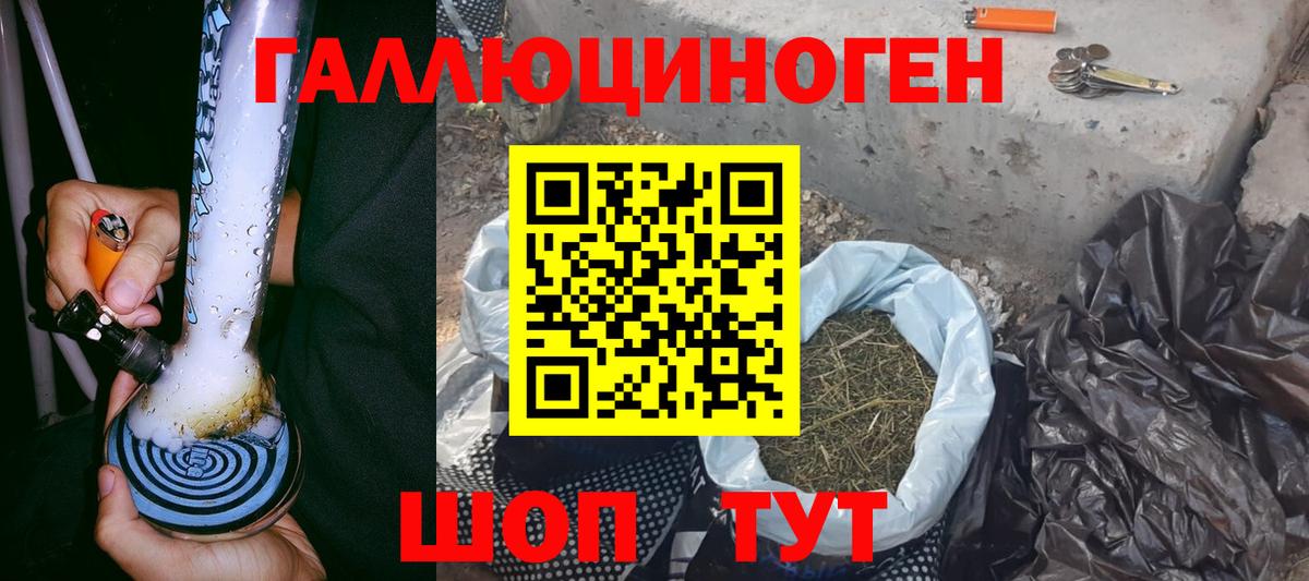 Галлюциногенные грибы мицелий Павловский Посад